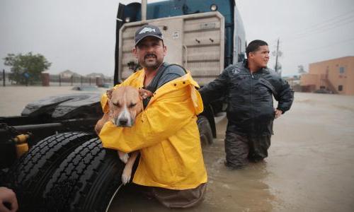 Two men in knee deep water. One is holding a dog. 